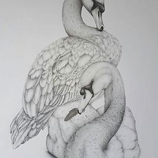 Схема вышивки «рисунок»