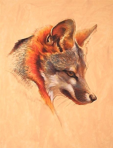 рисунок - оригинал