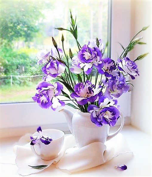 цветы - фото, цветы - оригинал