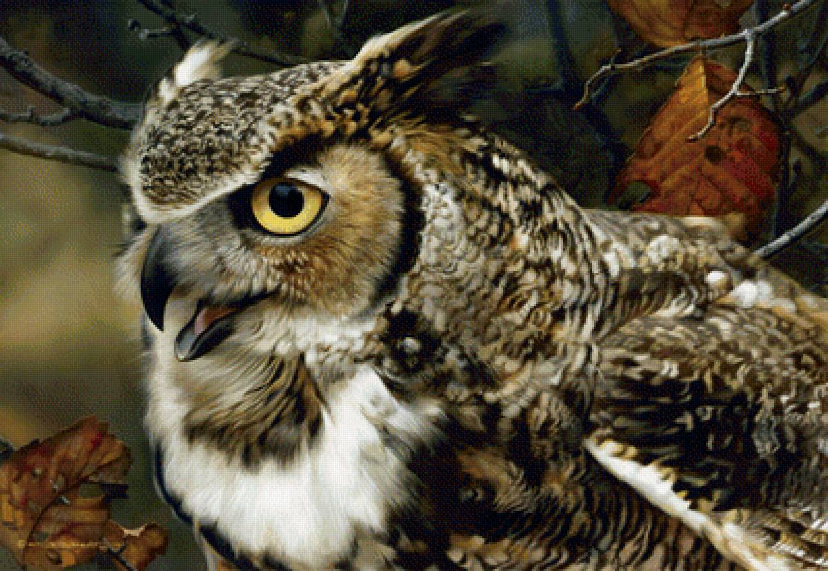 №1838829 - предпросмотр