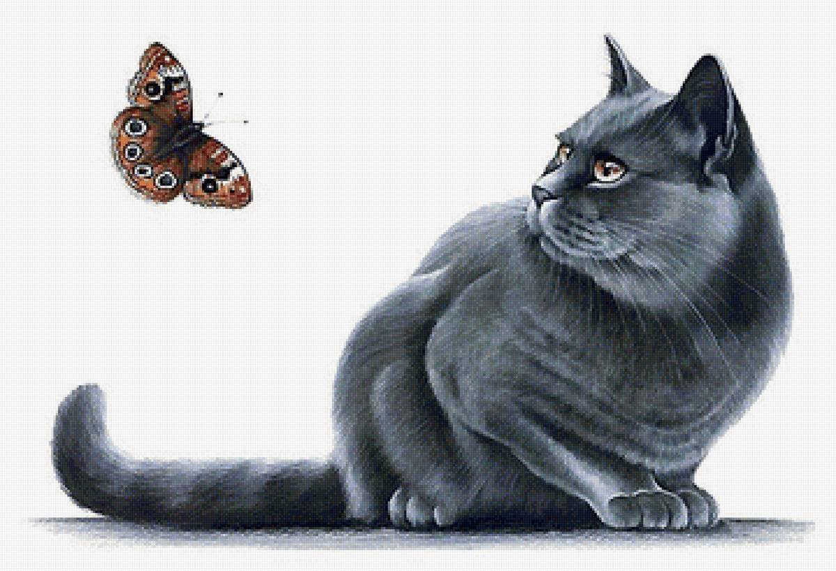 кот и бабочка - мир животных - предпросмотр