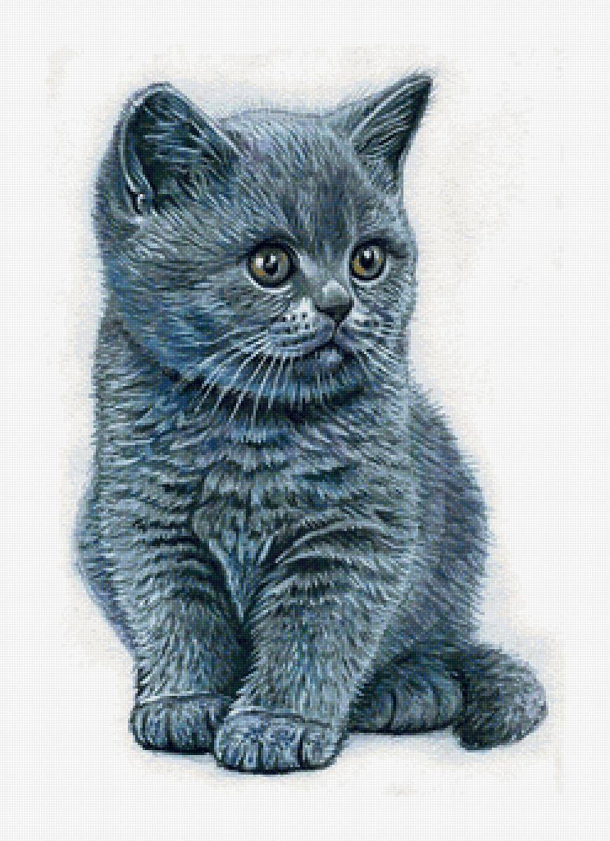 котёнок - котенок - предпросмотр