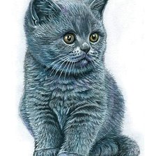 Схема вышивки «котёнок»