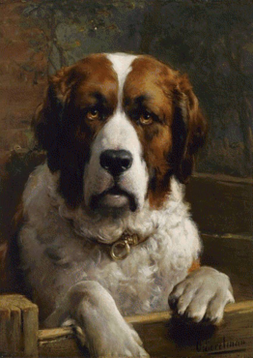 Пес - собака - предпросмотр