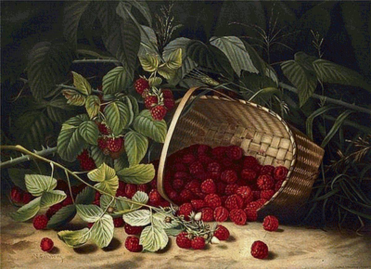 малина - предпросмотр