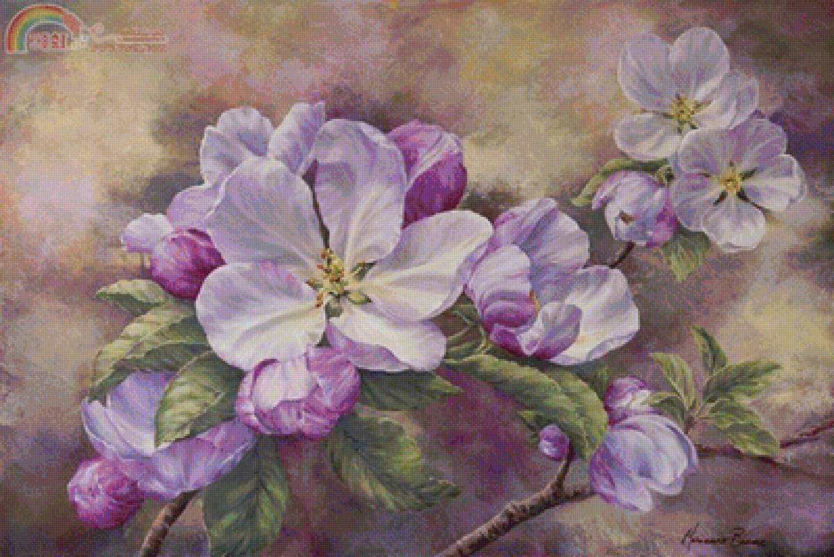 цветы - предпросмотр