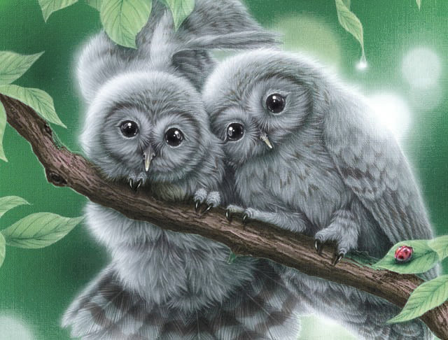 совята - птицы, совы - оригинал