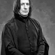 Схема вышивки «северус»