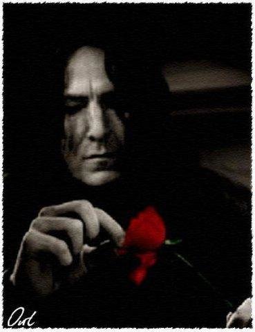 северус - оригинал