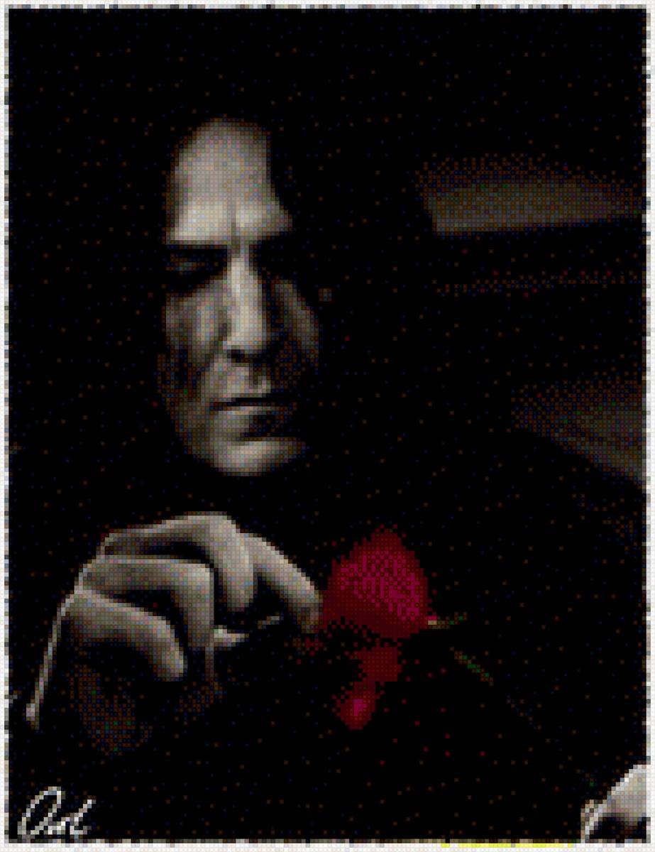 северус - предпросмотр