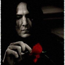 Схема вышивки «северус»