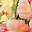Предпросмотр схемы вышивки «Серия "Подушки". Розы и ирисы» (№1840512)