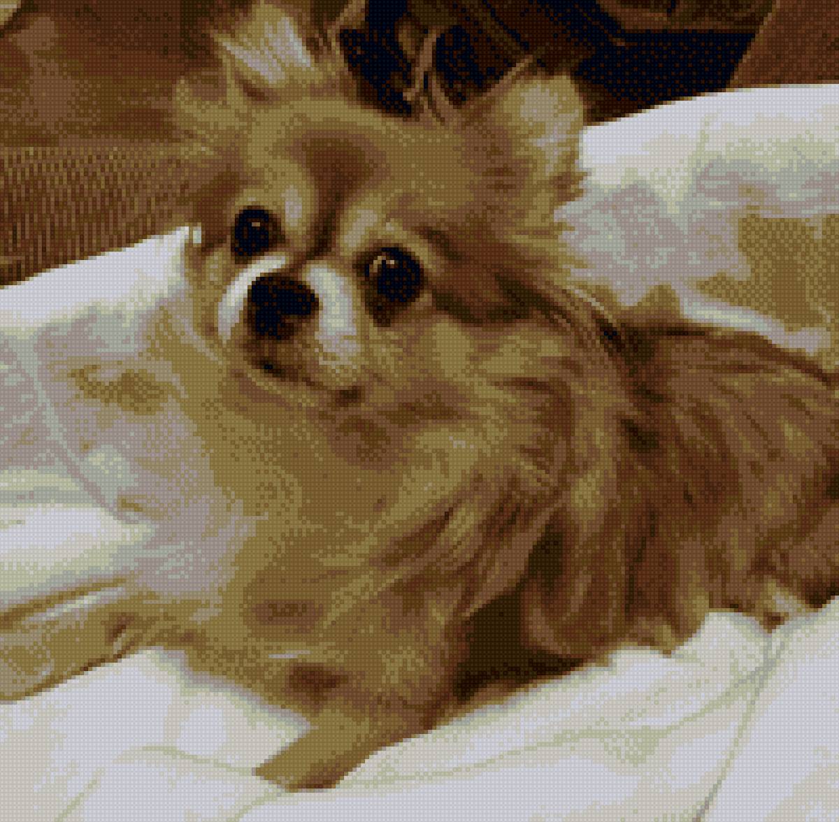 №1840799 - предпросмотр