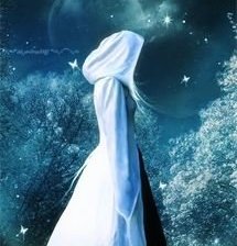 Схема вышивки «dama d'inverno»