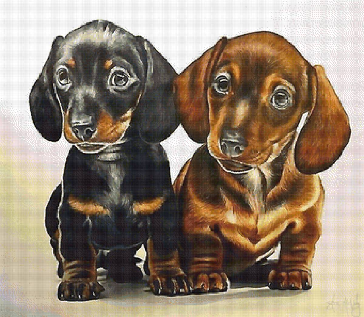 рисунок - предпросмотр