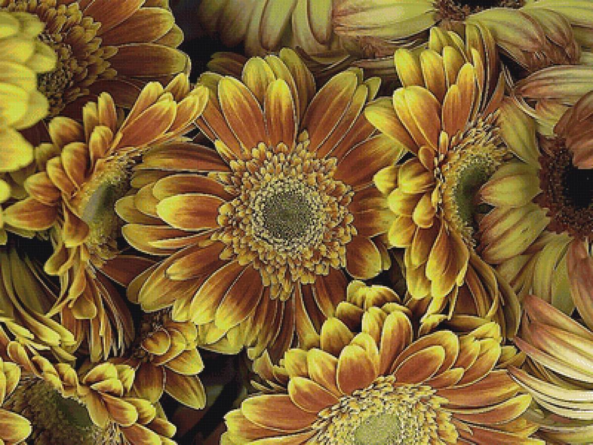 №1841162 - предпросмотр