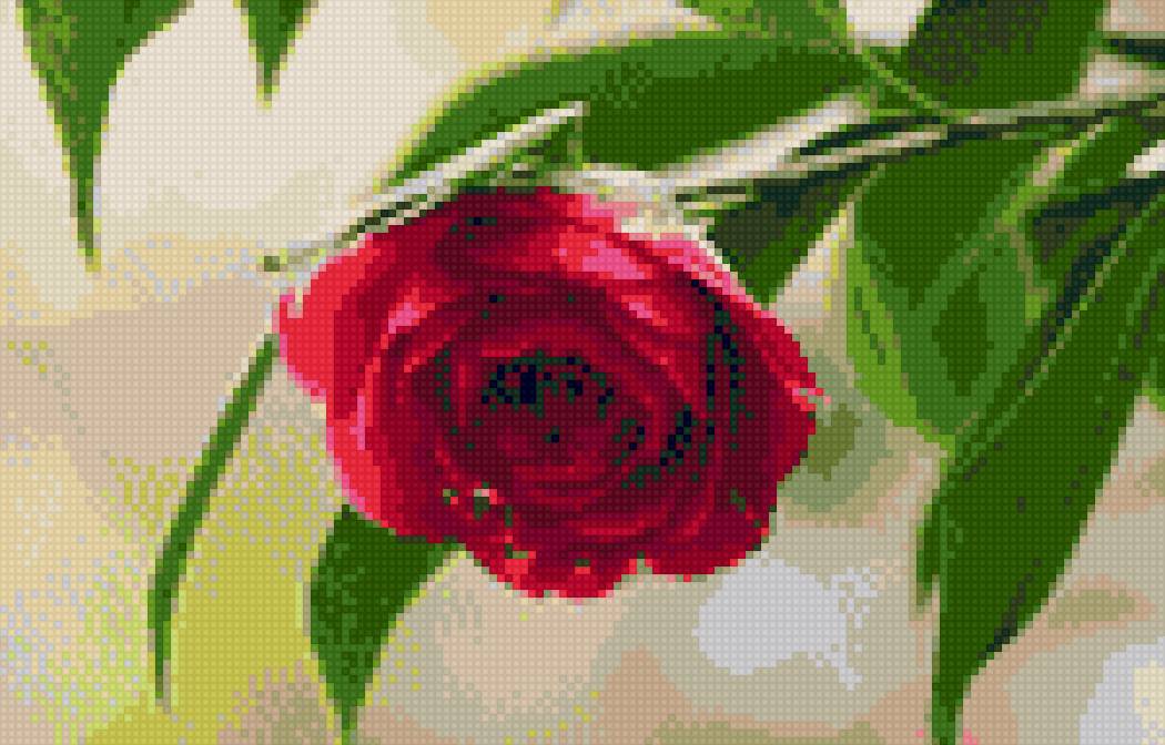 Одинокая красота - цветы - предпросмотр