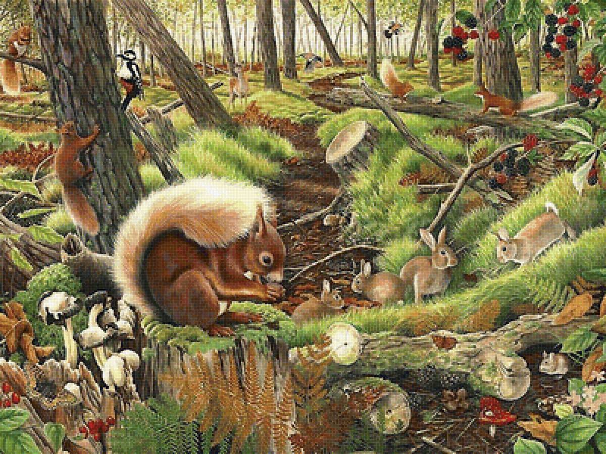 мир животных - мир животных - предпросмотр