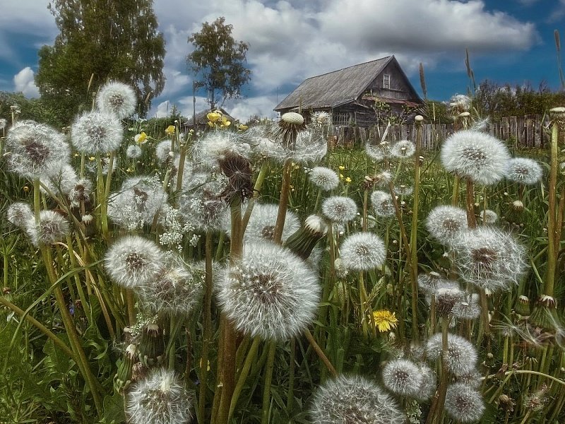 домик в деревне - оригинал