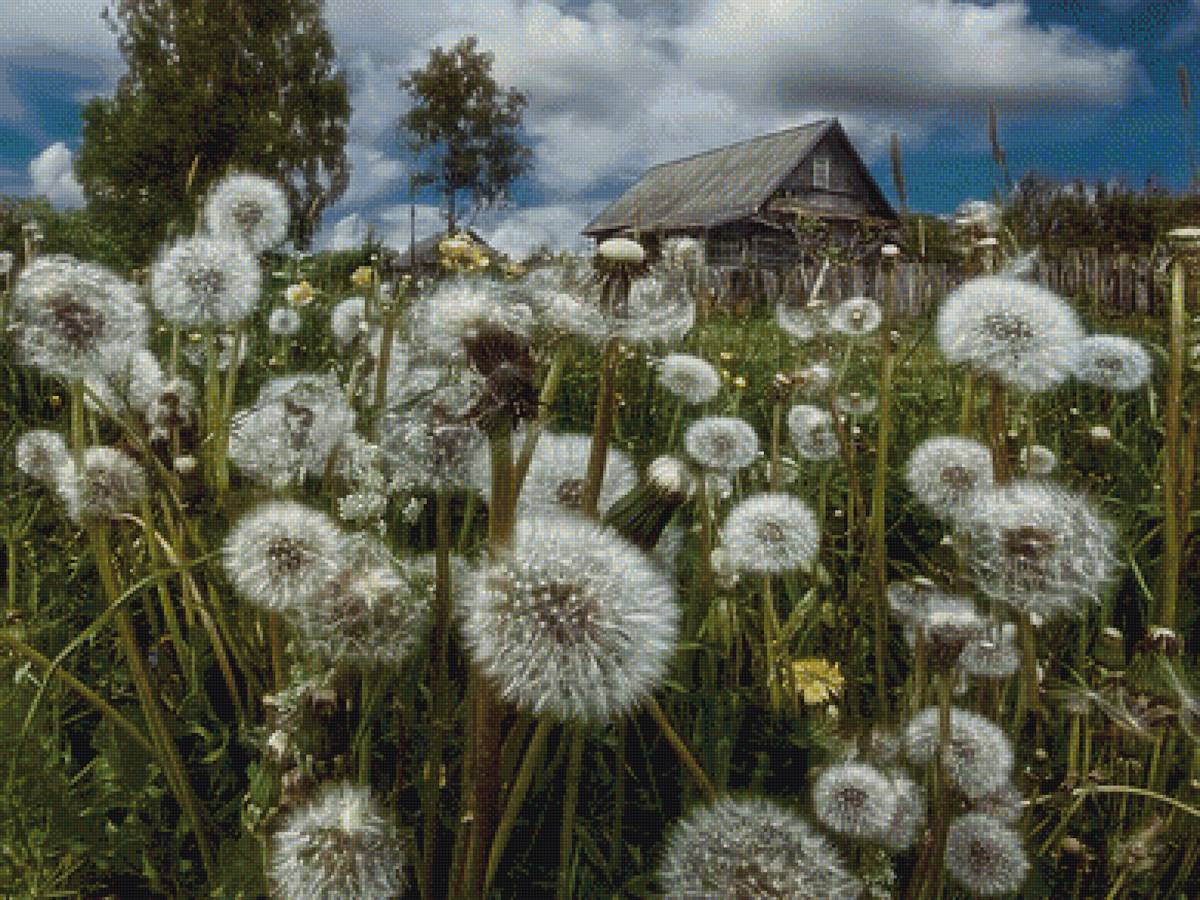 домик в деревне - предпросмотр