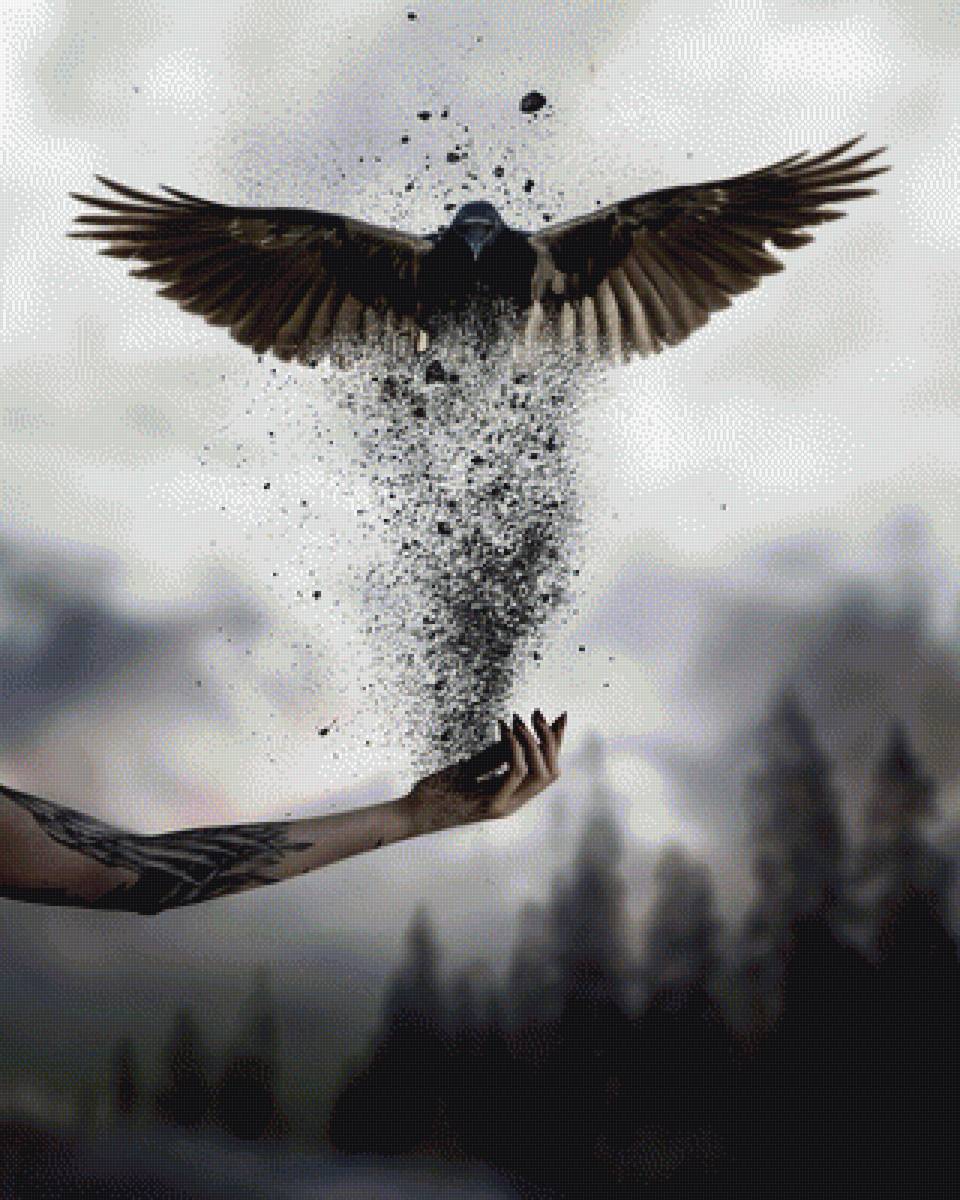 №24 - предпросмотр