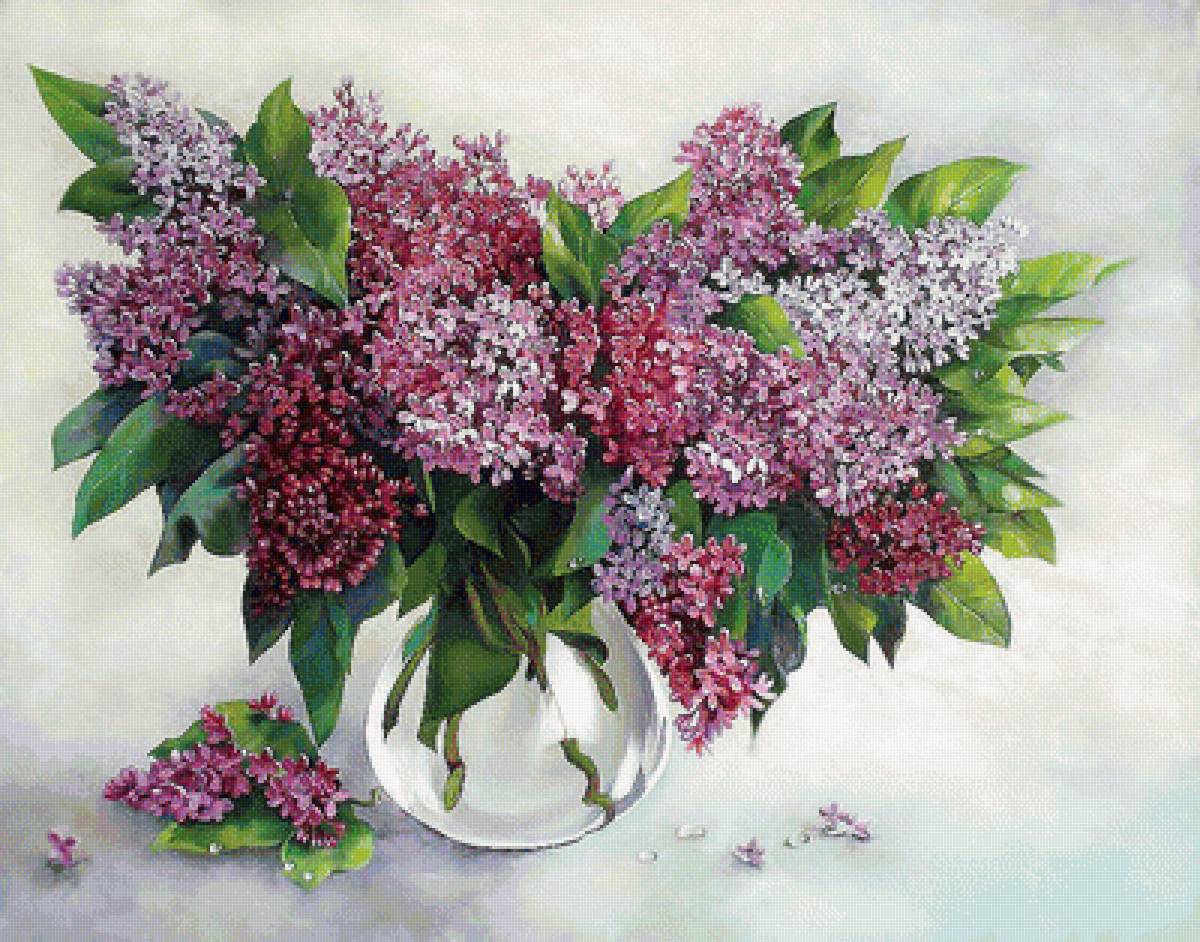 Серия "Букет". Сирень - букет, цветы, сирень, флора - предпросмотр