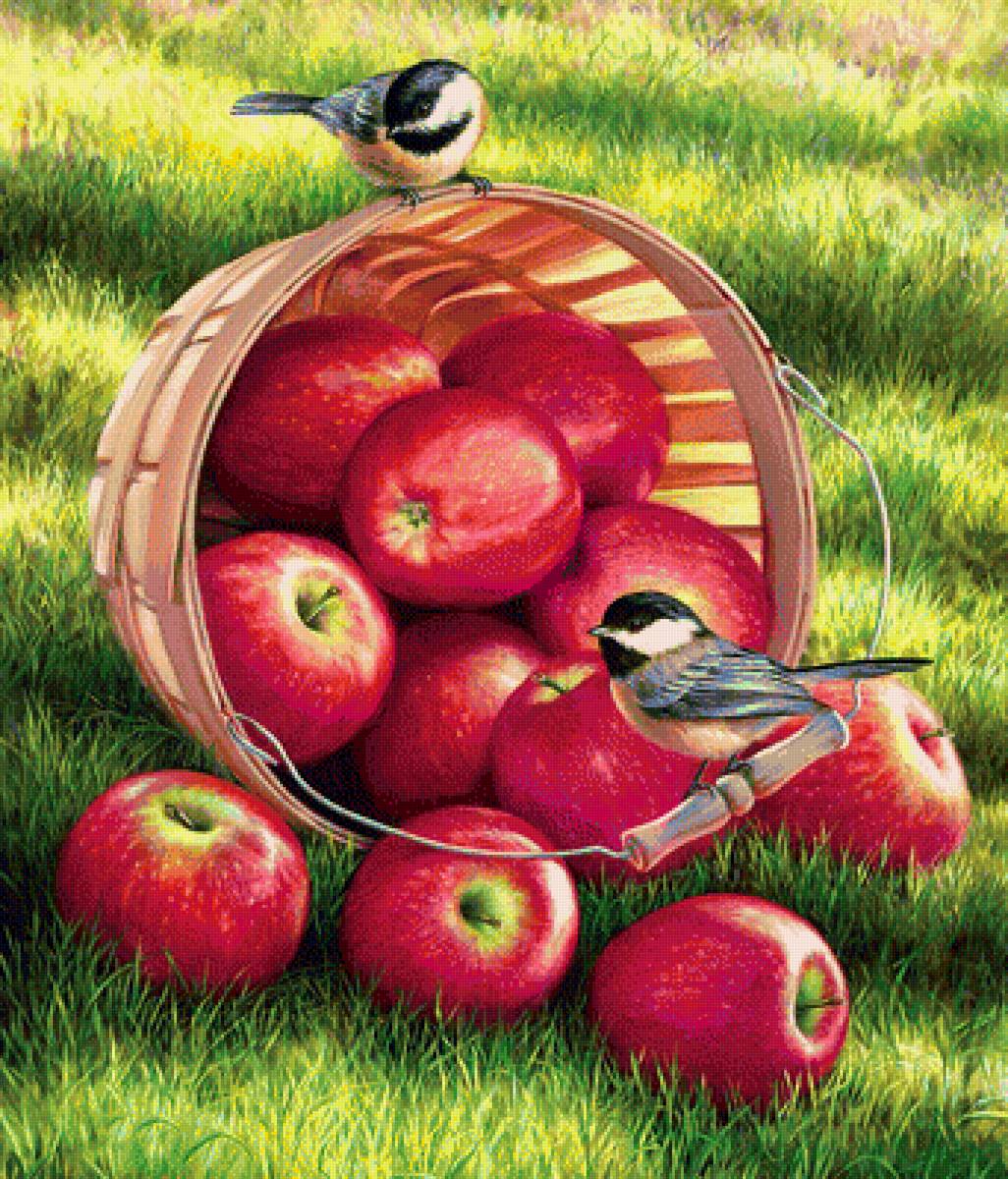 птички и яблоки - предпросмотр