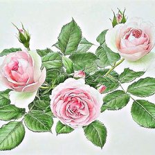 Схема вышивки «три розовые розы»