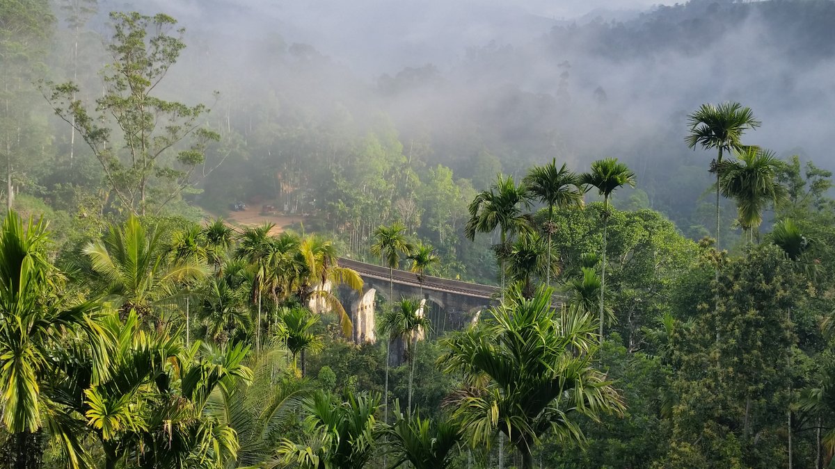 Утро на Цейлоне - цейлон, мост, шри-ланка - оригинал