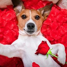 Схема вышивки «№1842960»