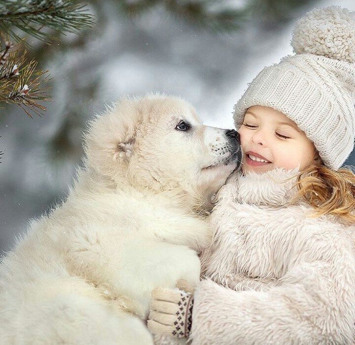 №1842969 - оригинал