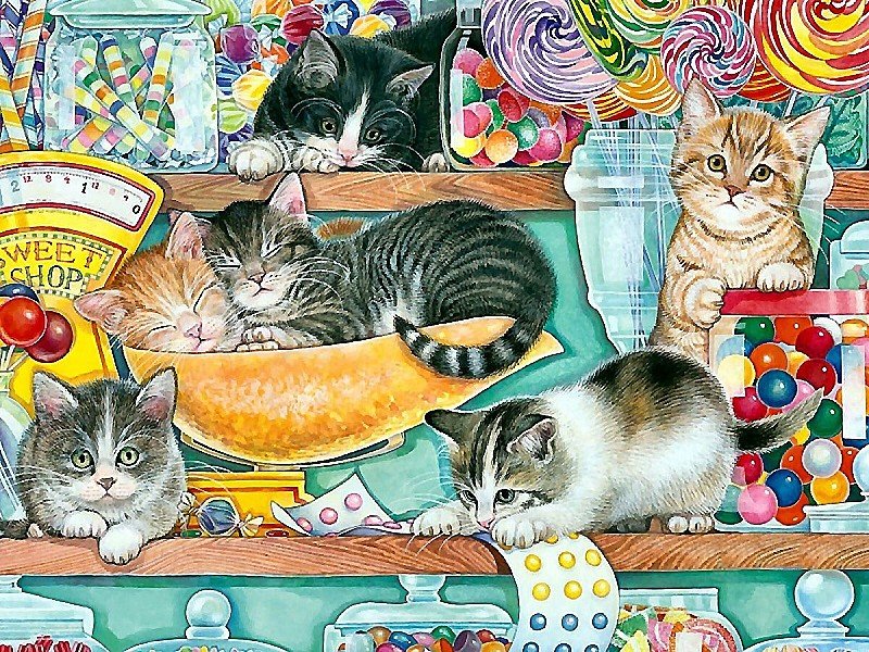 котята - котята - оригинал