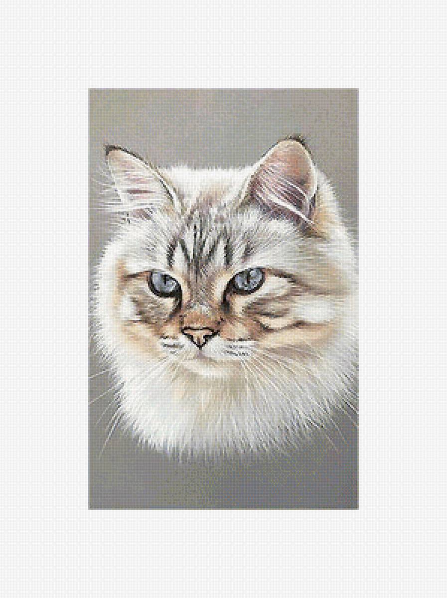 Серия "Коты". - животные, коты - предпросмотр