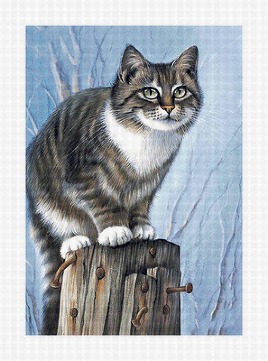 Серия "Коты". - животные, коты - предпросмотр