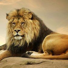 Схема вышивки «Лева»