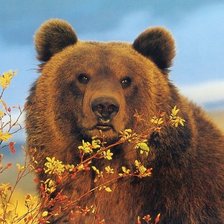 Схема вышивки «Миха»