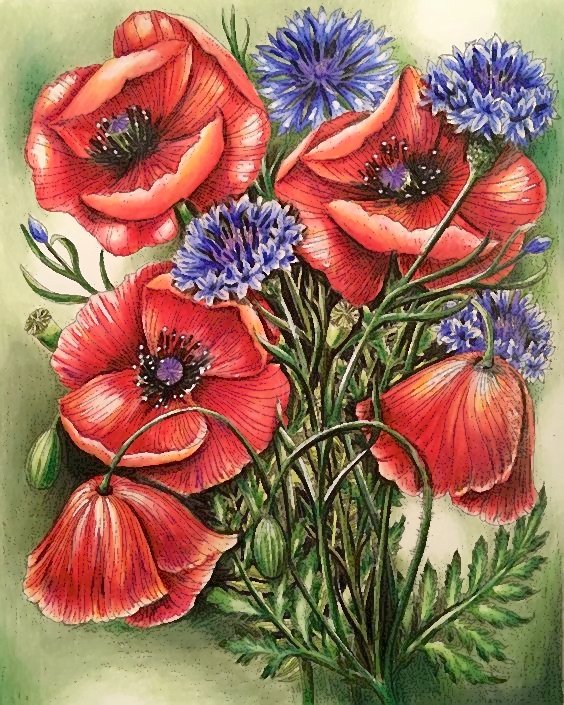 №1843716 - маки - оригинал