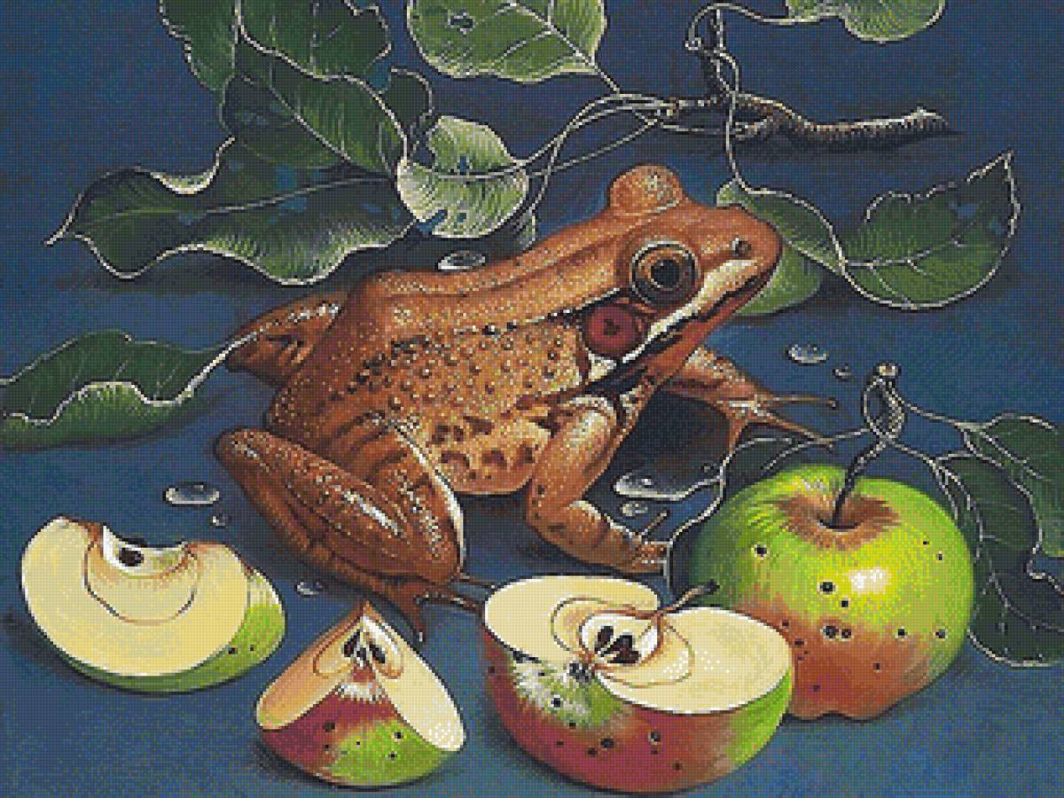 лягушка и яблоки - предпросмотр