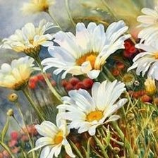 Схема вышивки «Ромашки»