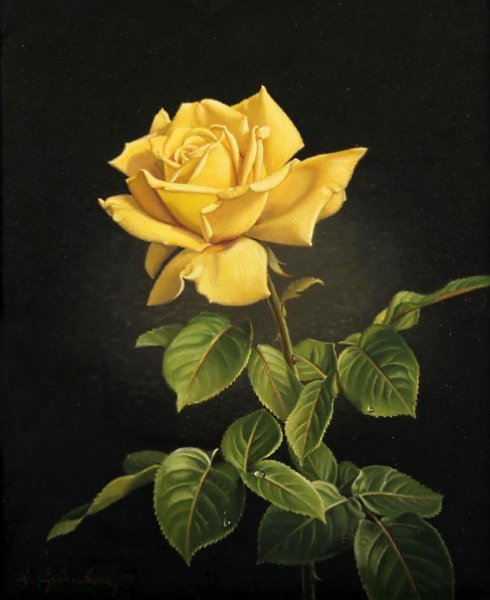 №1843996 - розы - оригинал