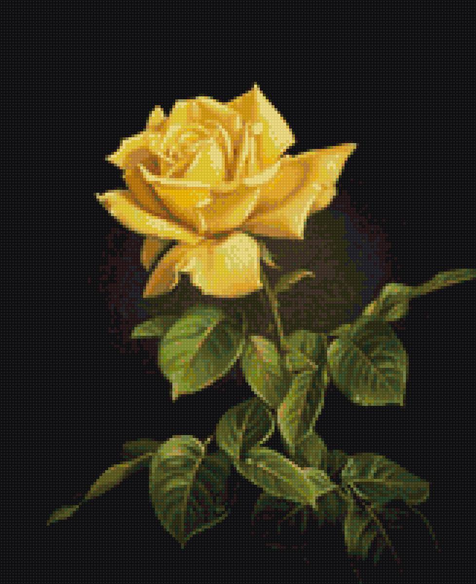 №1843996 - розы - предпросмотр