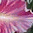 Предпросмотр схемы вышивки «цветы и колибри» (№1844409)