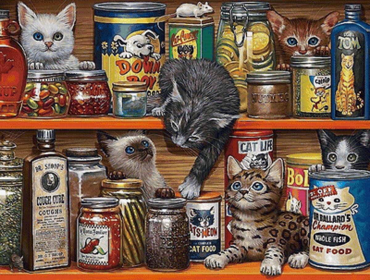 котята - котята - предпросмотр