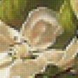 Предпросмотр схемы вышивки «птицы» (№1844880)