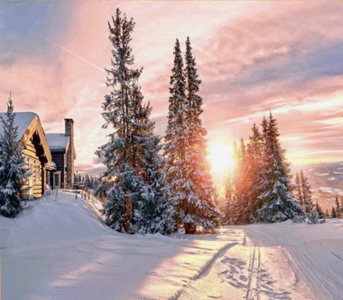 442 - предпросмотр