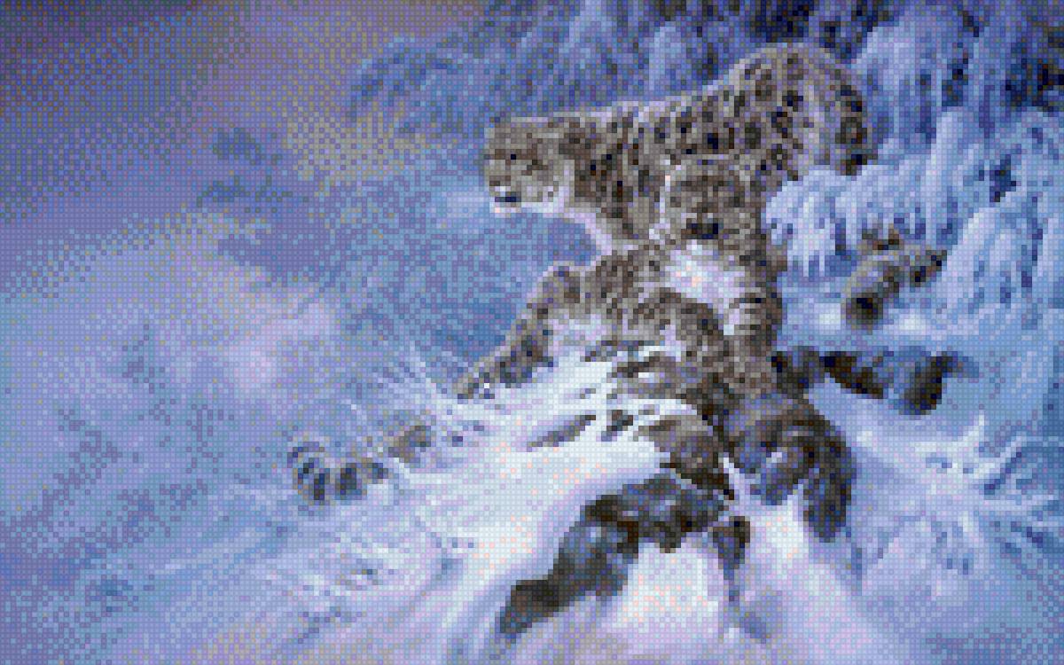 зимние леопарды - предпросмотр