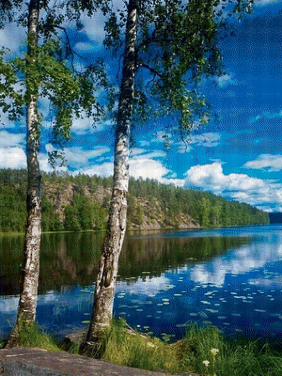 443 - предпросмотр