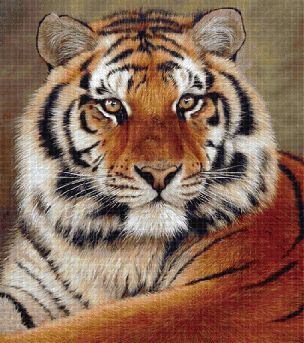 Тигр 2 - предпросмотр