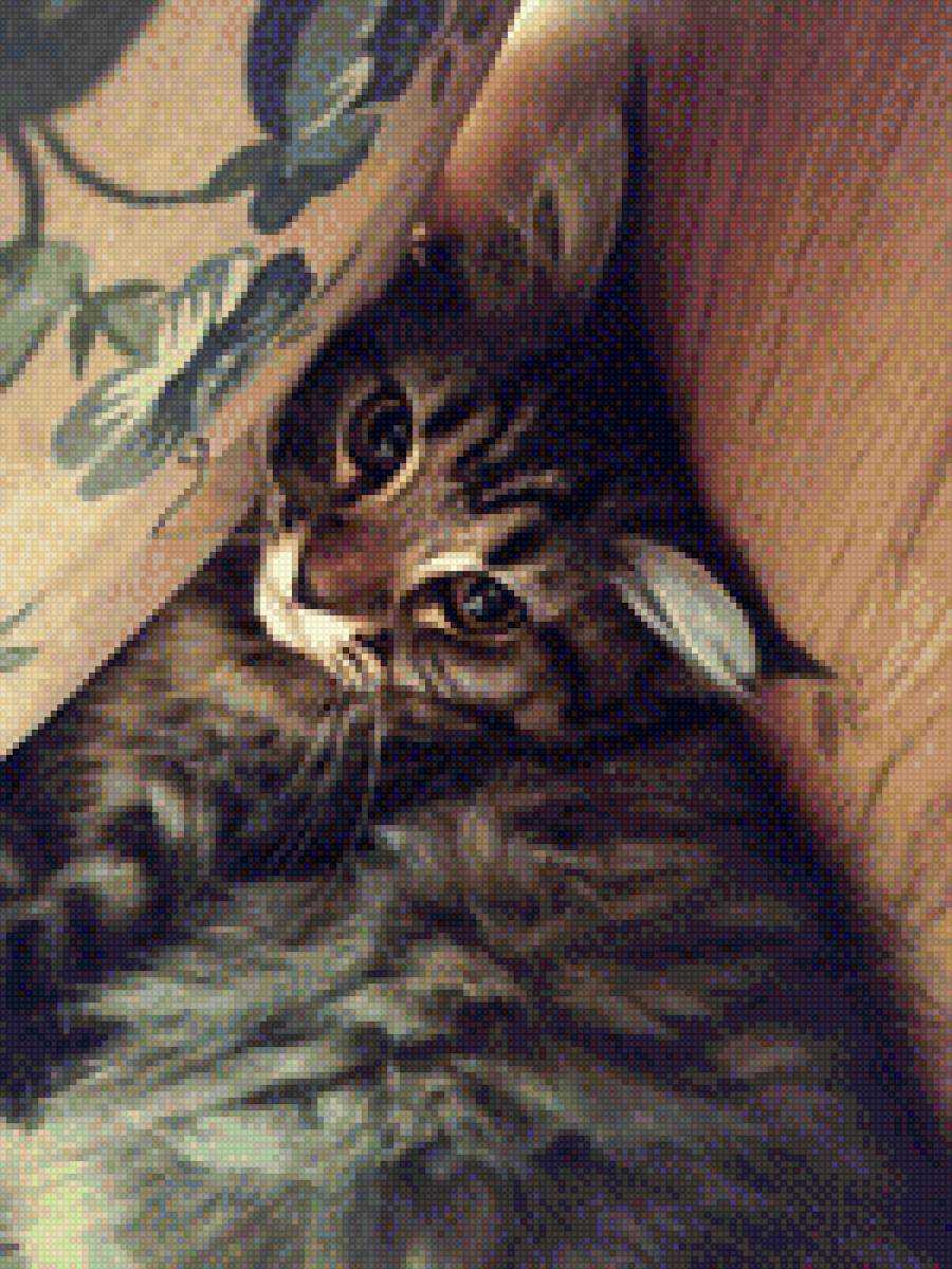 Кошка ,,Мэй кун,, - предпросмотр