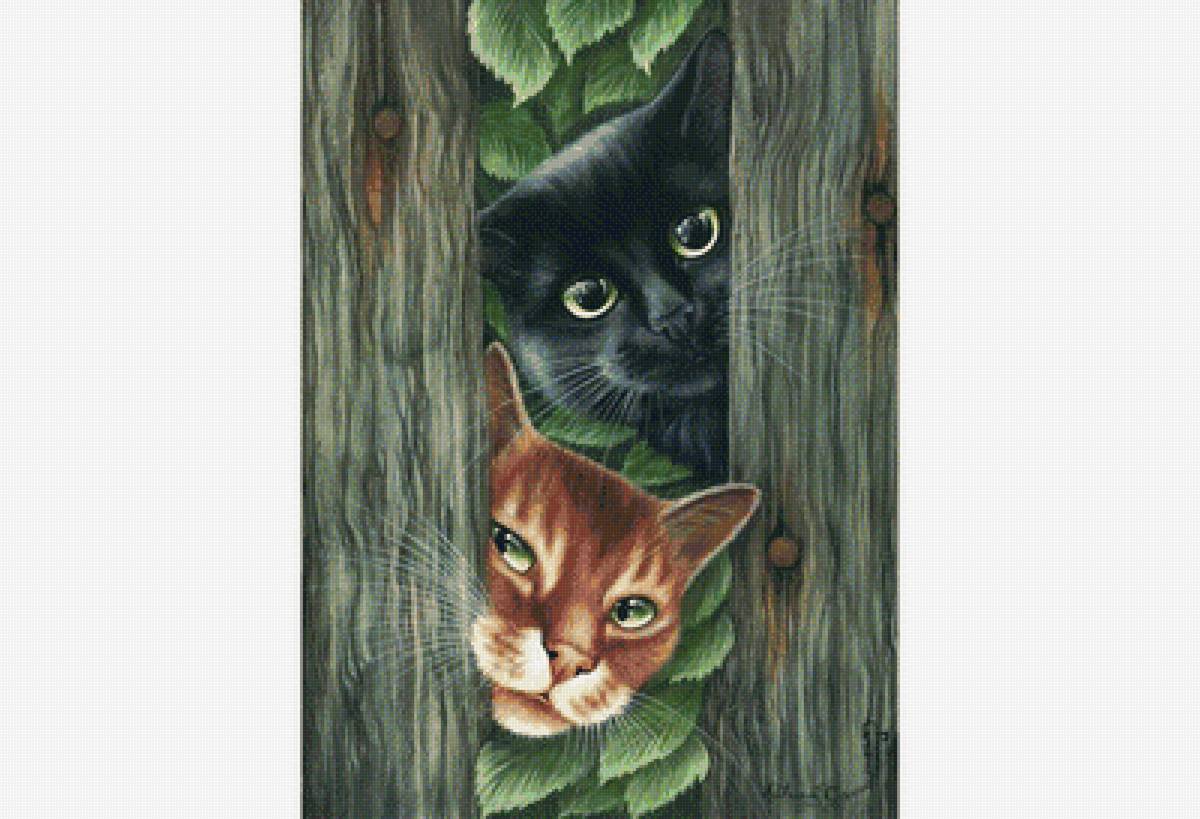 Любопытные парни - кошки, коты, любопытство - предпросмотр